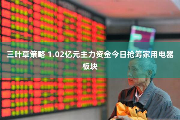 三叶草策略 1.02亿元主力资金今日抢筹家用电器板块