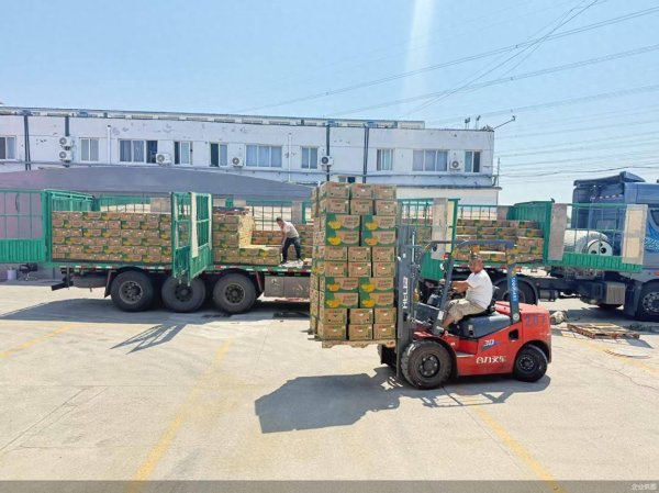 民银证券 新发地国际香蕉集散中心正式投用 日销1.5万箱香蕉 能源消耗降低35%