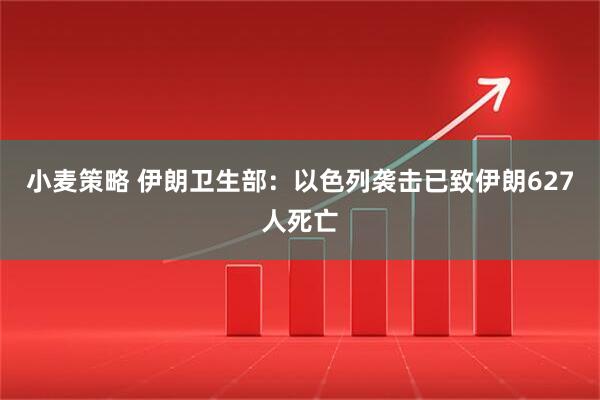 小麦策略 伊朗卫生部：以色列袭击已致伊朗627人死亡