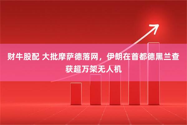 财牛股配 大批摩萨德落网，伊朗在首都德黑兰查获超万架无人机