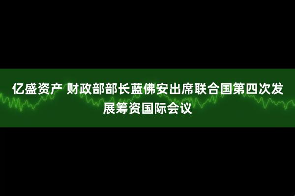 亿盛资产 财政部部长蓝佛安出席联合国第四次发展筹资国际会议
