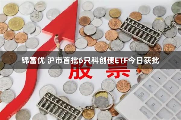 锦富优 沪市首批6只科创债ETF今日获批