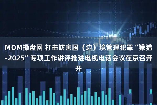 MOM操盘网 打击妨害国（边）境管理犯罪“獴猎-2025”专项工作讲评推进电视电话会议在京召开